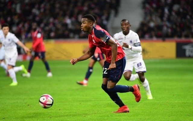 成长为皇马 成长为皇马